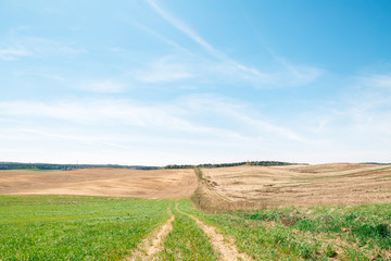 A ploughed field of brown color,a green planted field, a path in the middle.blue sky, General plan. Natural background
