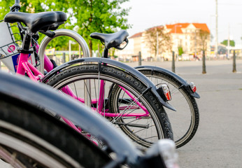 Bicycles for hire on a sunny day.
