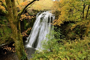 Aysgill Force