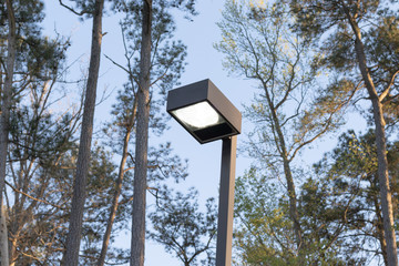 Light posts illuminated during the day in a public park.