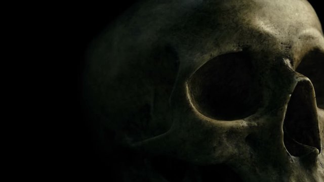 Passing Old Skull In The Dark Closeup