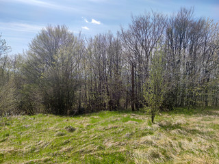 Spring Landscape of Vitosha Mountain, Bulgaria