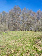 Spring Landscape of Vitosha Mountain, Bulgaria