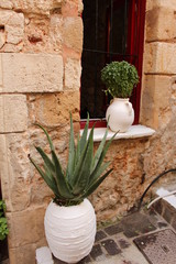 Two white flowerpots with houseplants inside on the window of a traditional house in Chania, in Crete Island, Greece.