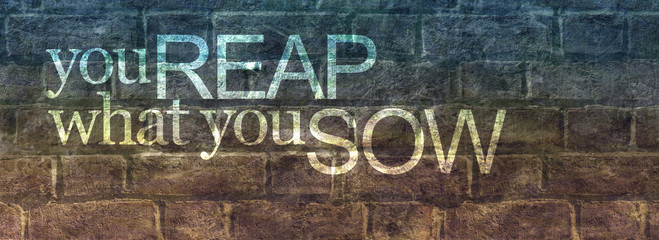 You reap what you sow message banner - blue brown rustic brick wall with stencilled words saying you REAP what you SOW and copy space
