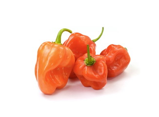 Habanero chilis isolated on white background. Fresh ripe Caribbean Red Habanero hot chili pepper with green stem. 