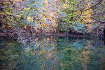 Lake and forest nature view. Autumn and forest view camping outdoors. seven lakes in Turkey. Lush greenery reflection in water surface of primeval forest lake 