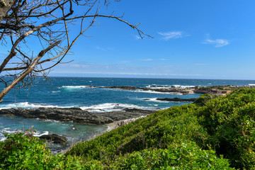 Tsitsikamma (Garden Route) National Park is one of the top attractions on the Garden Route, South Africa
