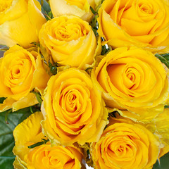 Bouquet of yellow roses.