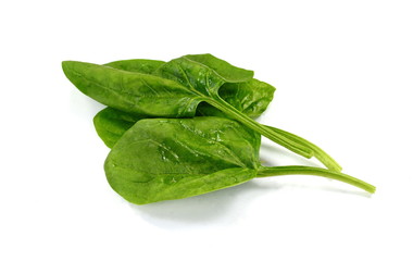 Fresh green spinach isolated on white background. Green spinach leaves. Green food.