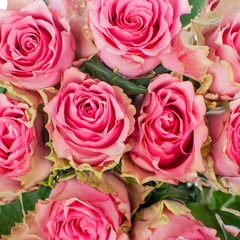 Bouquet of pink roses.