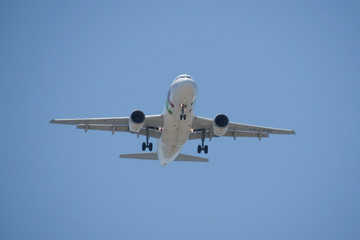 Fototapeta na wymiar TAP Air Portugal Airbus A319 flying in Lisbon