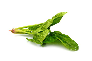 Fresh green spinach isolated on white background. Green spinach leaves. Green food.