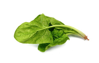 Fresh green spinach isolated on white background. Green spinach leaves. Green food.