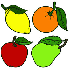 Vector illustration. A set of fruits. Children's illustration. Isolated on white. Apple, pear, lemon, orange.