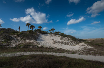 Beautiful Winter Floridian Beach