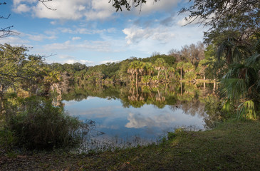 Gorgeous Floridian winter landscape
