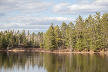 Fototapeta na wymiar Reflections of spring forest in the water in Algonquin Park Ontario Canada