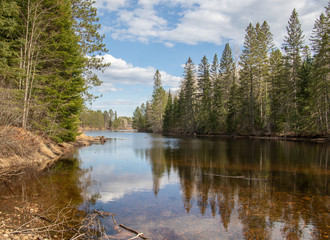 Obraz premium Reflections of spring forest in the water in Algonquin Park Ontario Canada