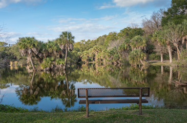 Obraz premium Gorgeous Floridian winter landscape