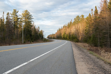 Fototapeta premium Golden light on the trees along the highway through Algonquin Park at dusk in springtime