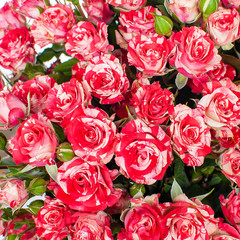 Bouquet of red roses.