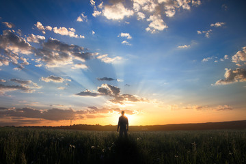 Fototapeta premium An open, summer field