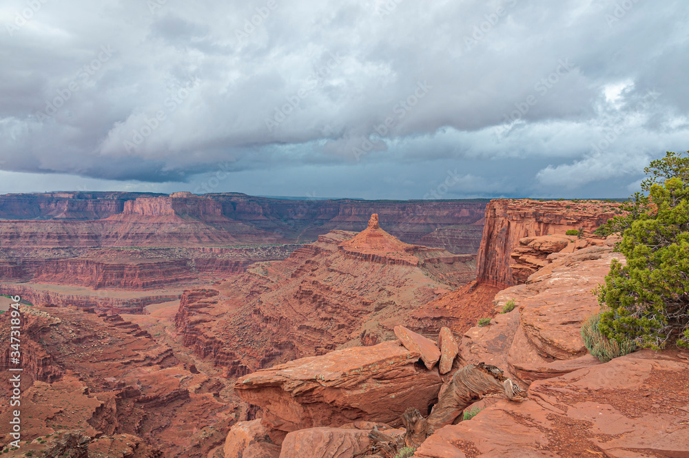 Wall mural Dead Horse Point State Park Utah USA 