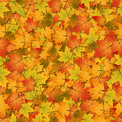 Naklejka na ściany i meble Autumn leaves seamless vector background