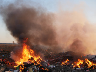 destruction of garbage. burning garbage. concern for the environment. environmental pollution.