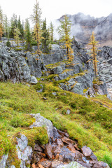 Opabin Trail at Lake O'Hara with Shaffer Mountain in the Canadian Rockies