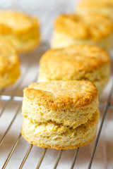 Traditional homemade scones