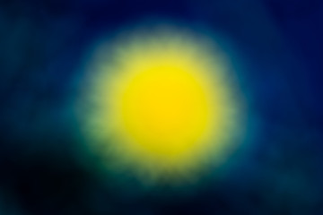 Dandelion clock in morning sun.