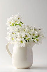 fruit tree pear flowers in a white jar isolated on