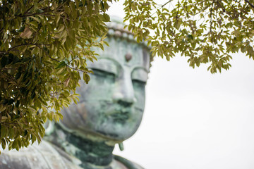 Great Buddha statue in Kamakura in the background with space to wordings