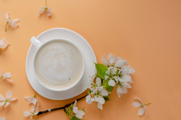 White cup of coffee on a colored background, white spring