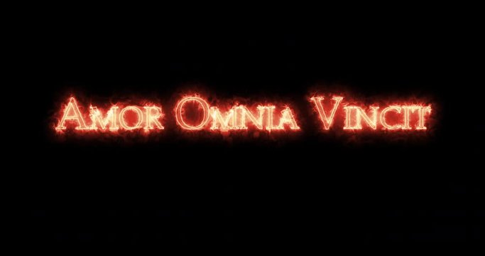 Amor Omnia Vincit written with fire. Loop