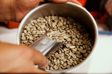 coffee beans in a hand