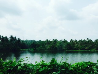 Scenic View Of River In Forest Against Sky