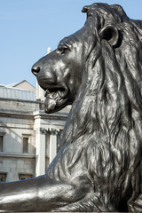Trafalgar Square lion in profile