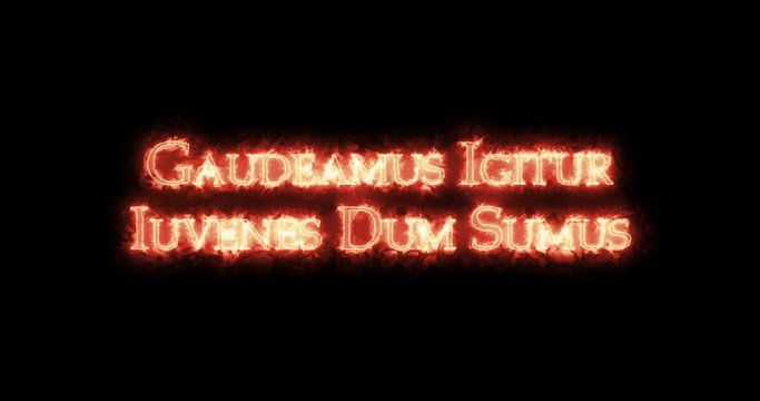 Gaudeamus igitur iuvenes dum sumus written with fire. Loop