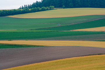 Obraz premium パッチワークのような丘陵畑作地帯