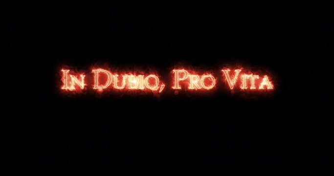 In dubio pro vita written with fire. Loop