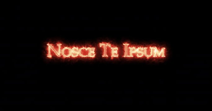 Nosce te ipsum written with fire. Loop