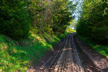 beautiful nature scenery. path through forest on grassy hills in springtime. concept of outdoor adventure on a sunny day with clouds on the blue sky