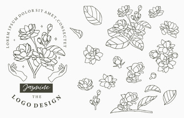 Black Jasmine logo collection with leaves.Vector illustration for icon,logo,sticker,printable and tattoo