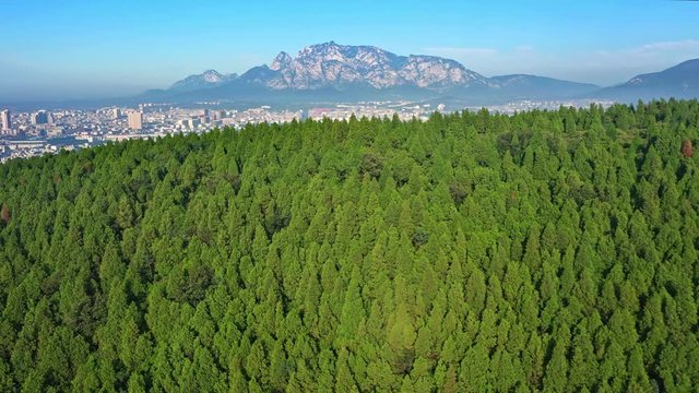 Aerial view of cities behind green forest with mountain background, Henan, China