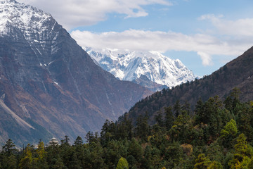 Snow mountains and pine forest landscape in Manaslu circuit trekking route, Himalaya mountains range in Nepal