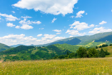 countryside fields and meadows on hills in summer. idyllic mountain landscape on a sunny day. scenery rolling in to the distant ridge. wonderful weather with fluffy clouds on a blue sky