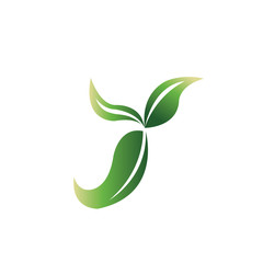 illustration of letter y leaf vector design